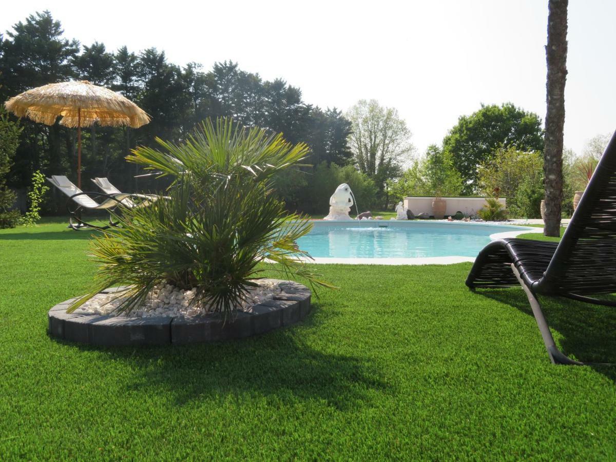 Maison 4 Etoiles Et Studio 3 Etoiles Independants Avec Piscine 索格岛 外观 照片